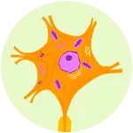 icon 4