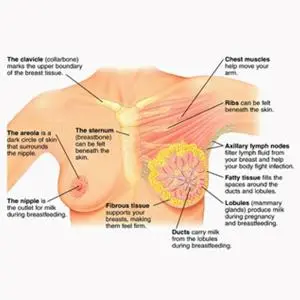 Akibat Pemakaian Bra yang Salah