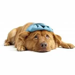 Kompres Panas vs Dingin