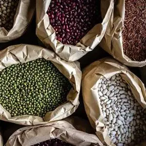 Makanan Sehat Untuk Tulang Belakang