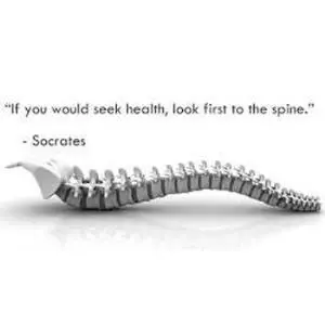 Hal Penting Tentang Tulang Belakang Yang Perlu Diketahui