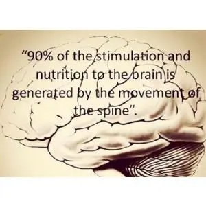 Hal Penting Tentang Tulang Belakang Yang Perlu Diketahui