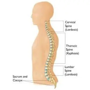 Tanda-Tanda Adanya Gangguan Tulang Belakang